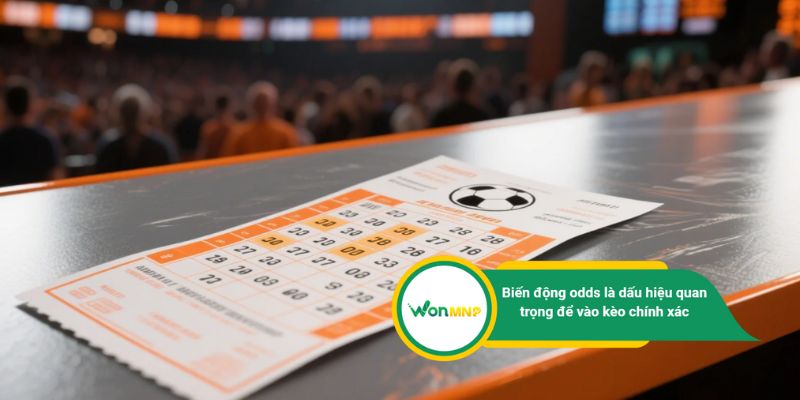 Biến động odds là dấu hiệu quan trọng để vào kèo chính xác