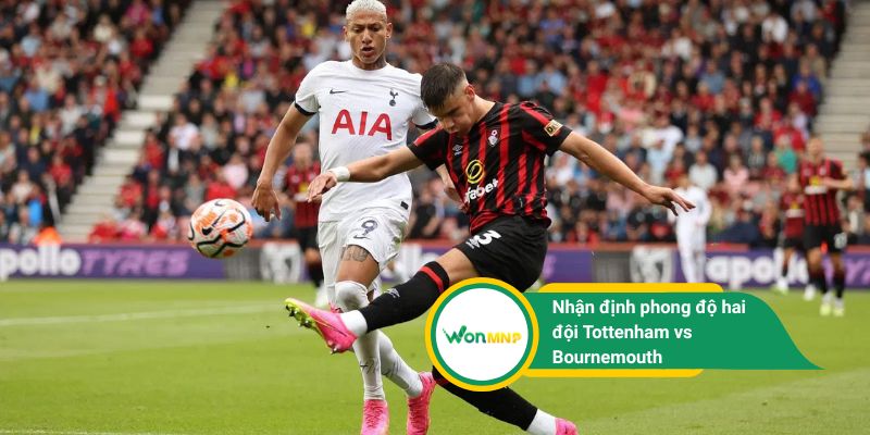 Trong 5 trận gần nhất, Tottenham cho thấy phong độ ổn định với nhiều chiến thắng