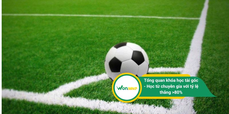Tổng quan khóa học tài góc - Học từ chuyên gia với tỷ lệ thắng >80%