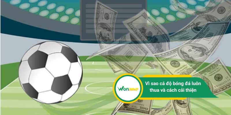 Vì sao cá độ bóng đá luôn thua và cách cải thiện hiệu quả với WonMNP