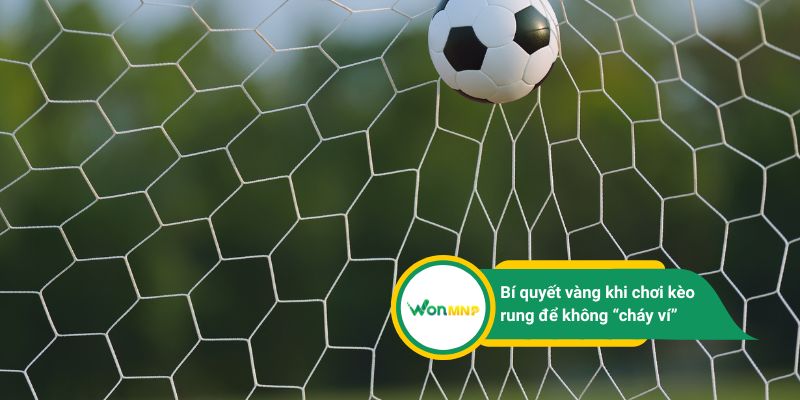 Kèo rung là gì? Cược thủ cần hiểu rõ để không mất tiền oan?