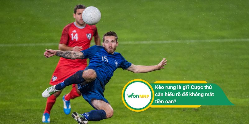 Kèo rung là gì? Cược thủ cần hiểu rõ để không mất tiền oan?