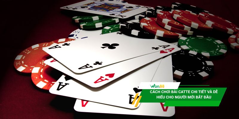 Cách chơi bài Catte chi tiết và dễ hiểu dành cho người mới