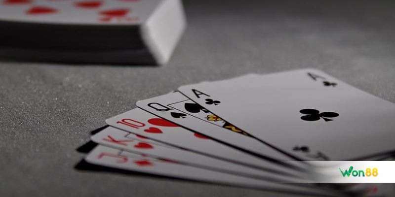 Giới thiệu sơ lược về bài Catte