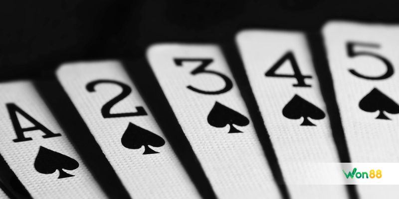 Cách chơi bài Catte chi tiết dành cho người chơi mới