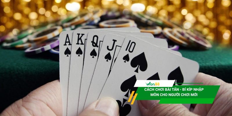 Cách chơi bài Tấn - Bí kíp nhập môn cho người chơi mới